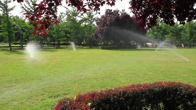 Riego por aspersion en un parque urbano con hierba verde setos y arboles de distintas  especies
