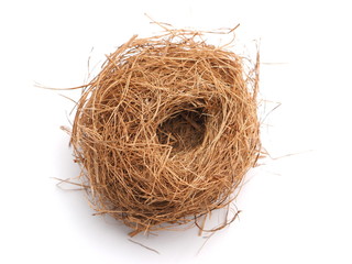 bird's nest on a white background