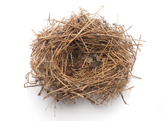bird's nest on a white background