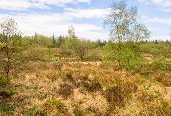 Beautiful spring day at Beacon Fell Country Park, Lancashire, UK