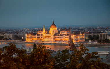 Fototapeta premium illuminated building of the National Hungarian Parliament at night