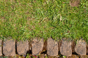 Garden border of grass and brick