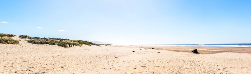 Fototapeta na wymiar panoramic view of a huge beach of the west coast of america with some people walking at the edge of the sea during a sunny day of summer