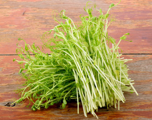 pea sprouts on the table