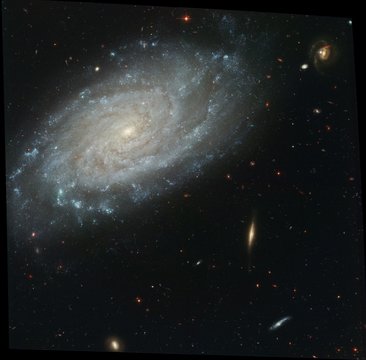 Spiral galaxy NGC 3370