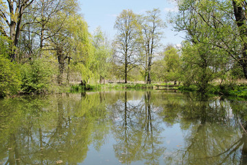 Fototapeta na wymiar trees on the bank of a pond in Poodri reflecting on the water surface in spring