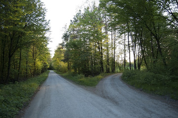 Two- way crossover in the forest