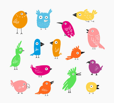 Color Birds set, vector illustration