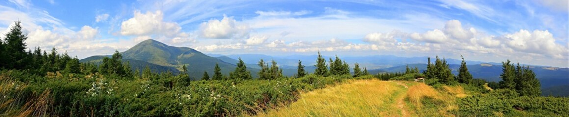 Beauty in the Carpathian Mountains
