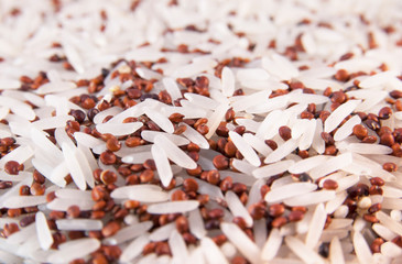 Mix of quinoa and basmati rice