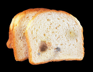Crust and crumb of bread, covered with mold on the black background
