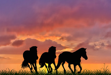 Fototapeta na wymiar three running horses on sunset background