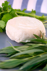 Obraz na płótnie Canvas Goat cheese with estragon and parsley
