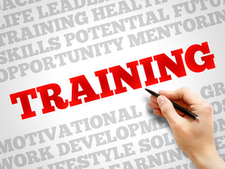 TRAINING word cloud, business concept