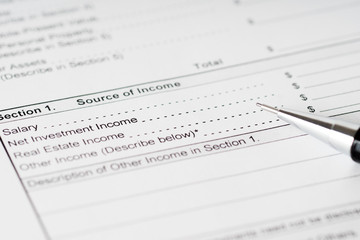 Obraz premium personal financial statement income form