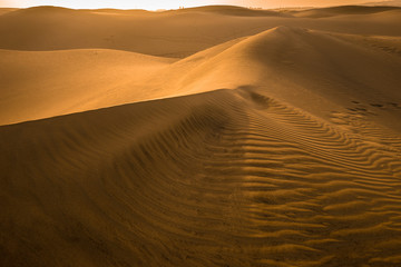 Sand dunes on the beach of Maspalomas at sunset, Gran Canaria (Spain)