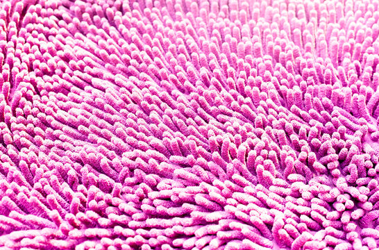 Pink cleaning carpet texture and pattern
