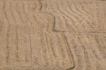 Naklejka premium Abstact background of farm