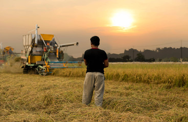 Unidentified man with Harvester machine to harvest rice field