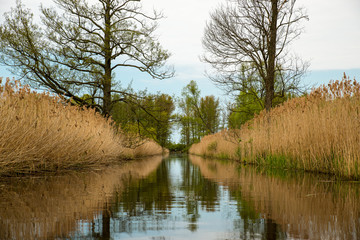 Obraz premium Holiday paradise Spreewald in Germany near Berlin