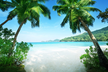 Obraz na płótnie Canvas beach Takamaka, Mahe island, Seychelles