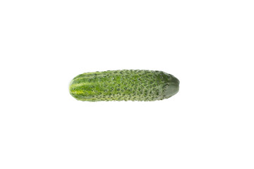 Fresh cucumber