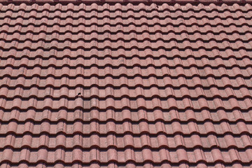 red tiles roof for background. 