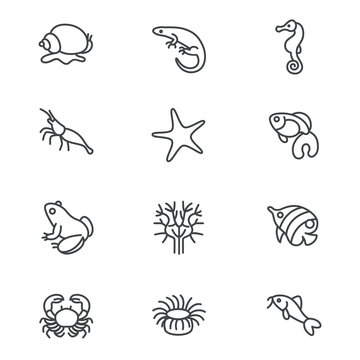 The most popular aquarium inhabitants as line icons / There are typical aquarium inhabitants like snail, fishes, crabs and corals
