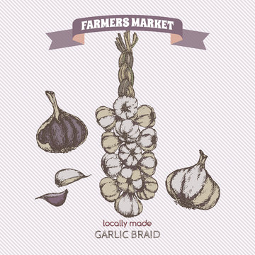 Color vintage garlic braid template.