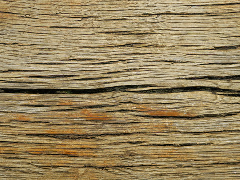 Old oak wood from Wendland, Germany, Europe