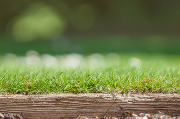 Neat lawn edge with blurred grass background