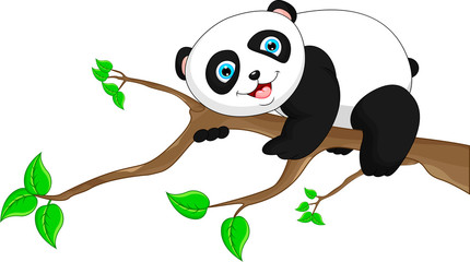 Cute funny baby panda