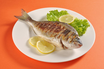 Dish with grilled fish gilthead bream
