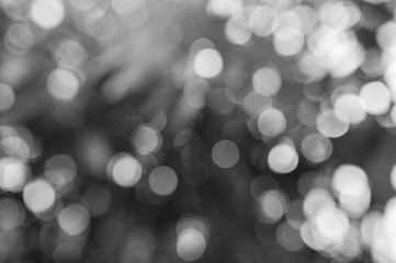 abstract blurred nature background black and white