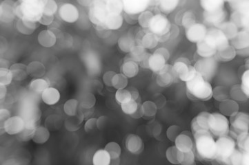 abstract blurred nature background black and white
