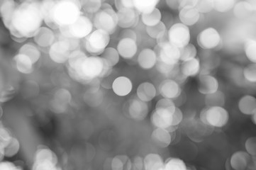 abstract blurred nature background black and white
