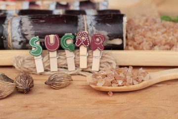 Cane sugar and fresh cane from nature.