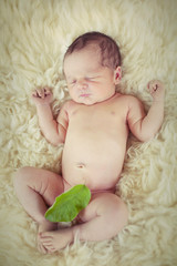 Newborn baby on fur © tiagozr