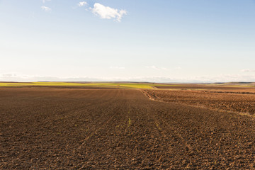Fototapeta na wymiar Paisaje con de terrenos agricolas llanos, arados recientemente y preparados para el cultivo. Con luz de atardecer