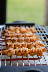 Putenspieße auf dem Elektrogrill
