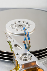 HDD Festplatte Bereinigung Service