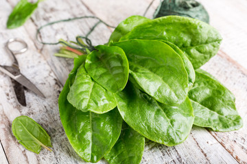 Fresh organic sorrel leaves