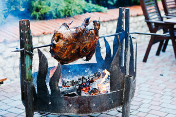Roasting barbecue is prepared of a ram, lamb or sheep