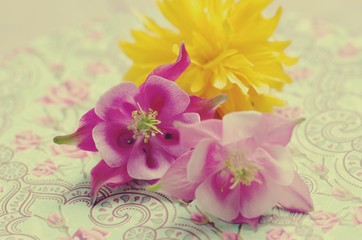 Obraz na płótnie Canvas Romantische Grußkarte mit zarten Blüten