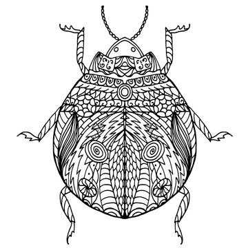 Black and white hand drawn zentangle stylized bug.