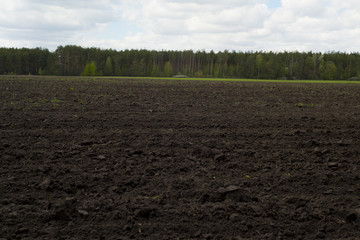 plowed field soil