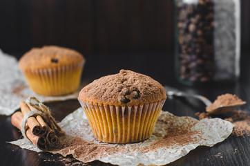 Chocolate muffins with cinnamon on dark background