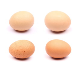 Set close up organic chicken egg isolated on white background