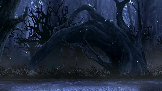 dark forest