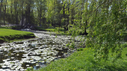 City park under sunny light 